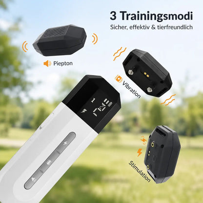Dog Training Collar with Remote, 800m E Collar for Dogs with Beep, Vibration & 16 Levels - Homvista