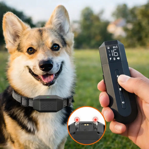 Dog Training Collar with Remote, 800m E Collar for Dogs with Beep, Vibration & 16 Levels - Homvista