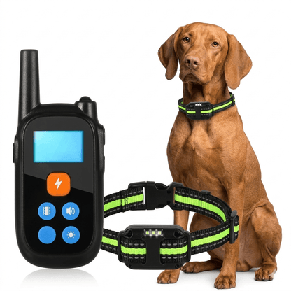 Dog Training Collar with Remote, IP68 E Collar with 4 Modes, 99 Levels & LED Light - Homvista