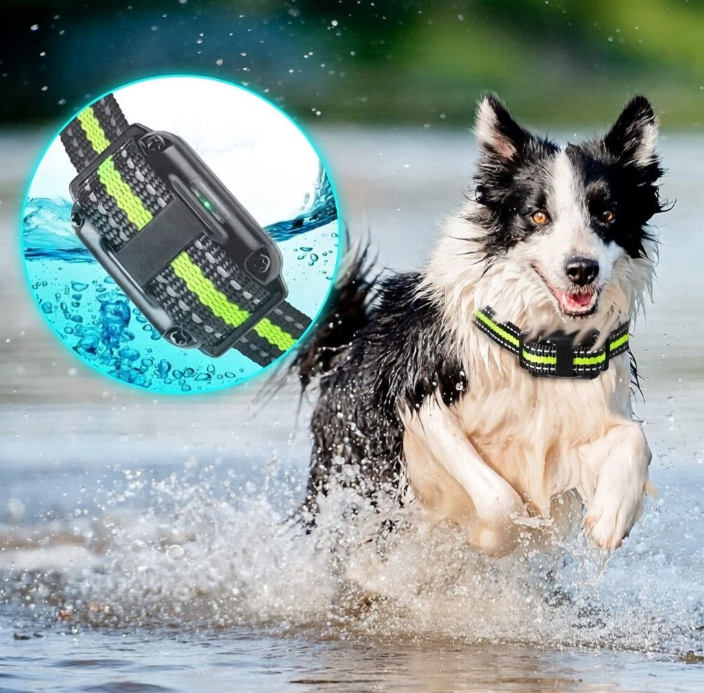 Dog Training Collar with Remote, IP68 E Collar with 4 Modes, 99 Levels & LED Light - Homvista