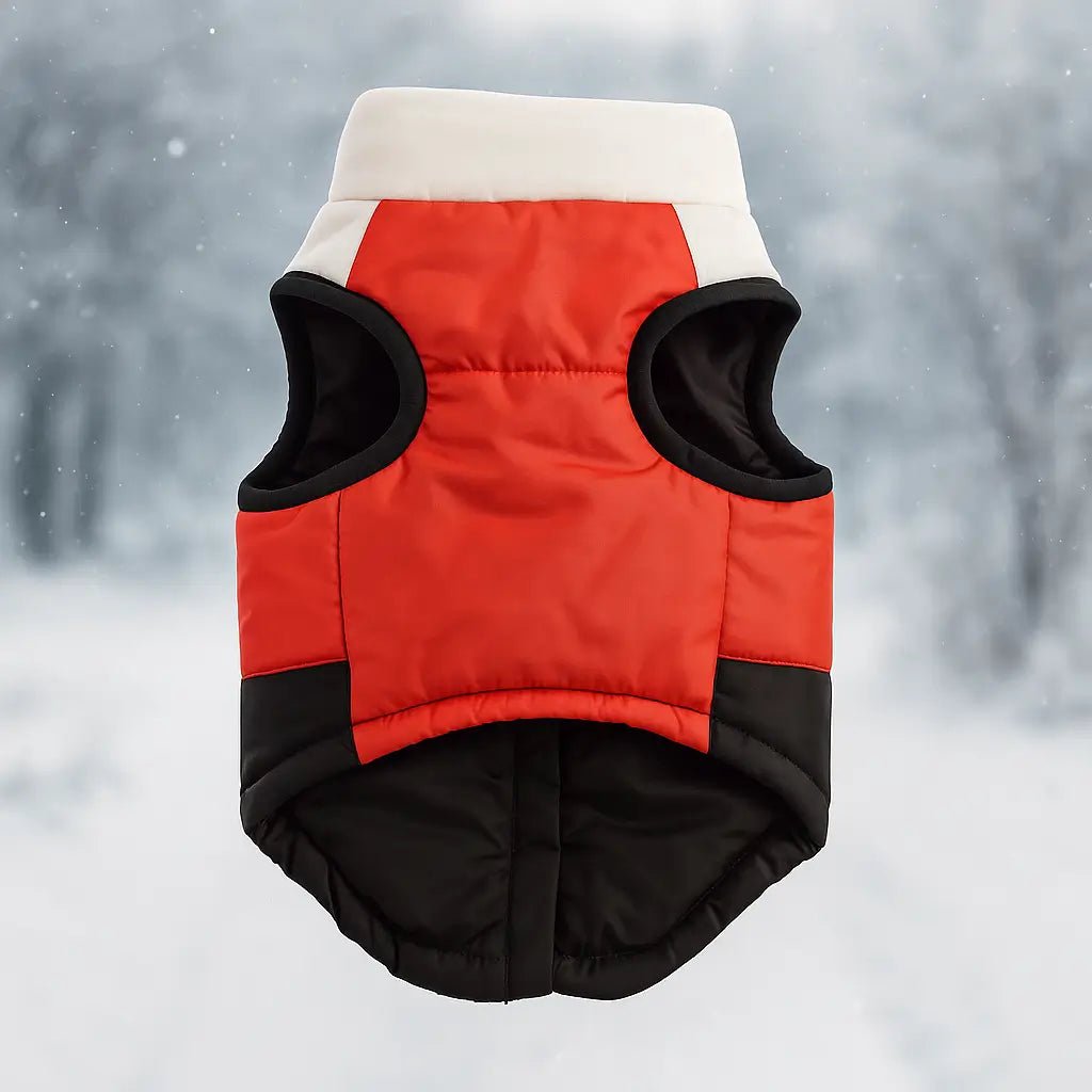 Dog Winter Coat with Harness, Water-Resistant Fleece Jacket with D-Rings & Zipper - Homvista