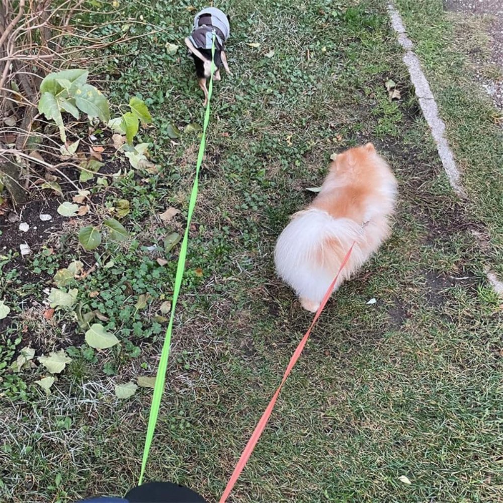 Dual Dog Leash, Tangle-Free Rotating Leash for Walking Two Dogs - Homvista