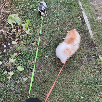 Dual Dog Leash, Tangle-Free Rotating Leash for Walking Two Dogs - Homvista