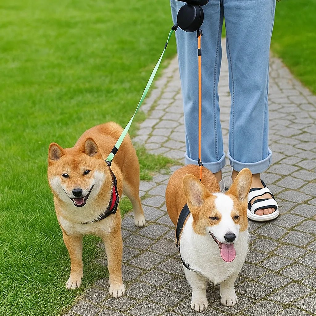 Dual Retractable Dog Leash, 3m Tangle-Free Leash for Two Dogs with LED & Separate Brakes - Homvista