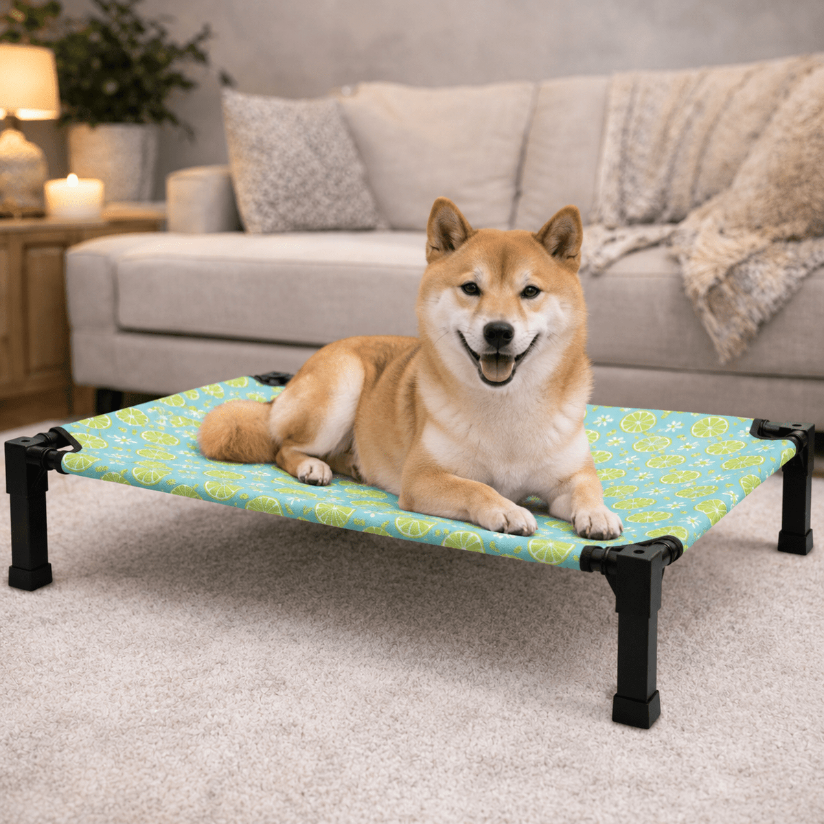 Elevated Dog Bed, Breathable Mesh Pet Cot with Steel Frame for Indoor & Outdoor Use - Homvista