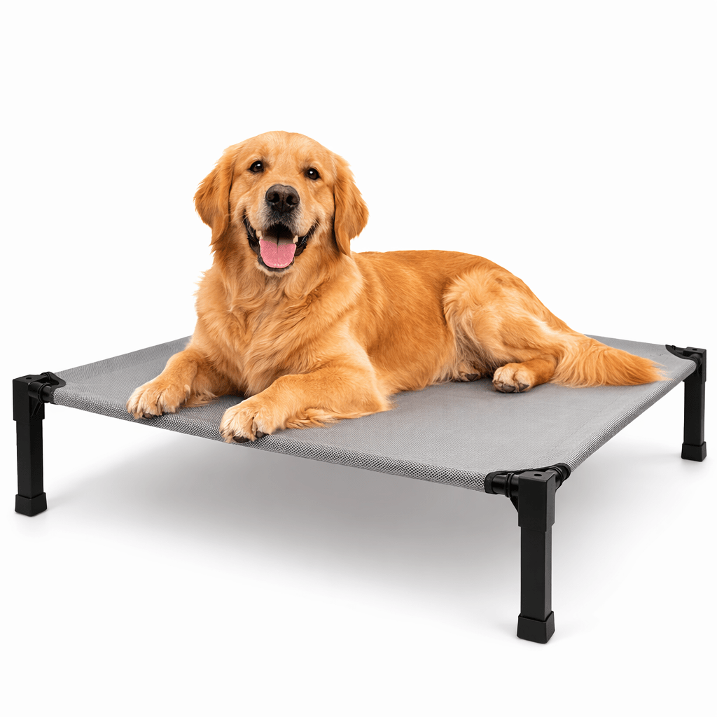 Elevated Dog Bed, Breathable Mesh Pet Cot with Steel Frame for Indoor & Outdoor Use - Homvista