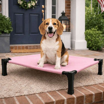 Elevated Dog Bed, Breathable Mesh Pet Cot with Steel Frame for Indoor & Outdoor Use - Homvista