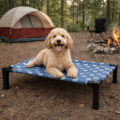 Elevated Dog Bed, Breathable Mesh Pet Cot with Steel Frame for Indoor & Outdoor Use - Homvista