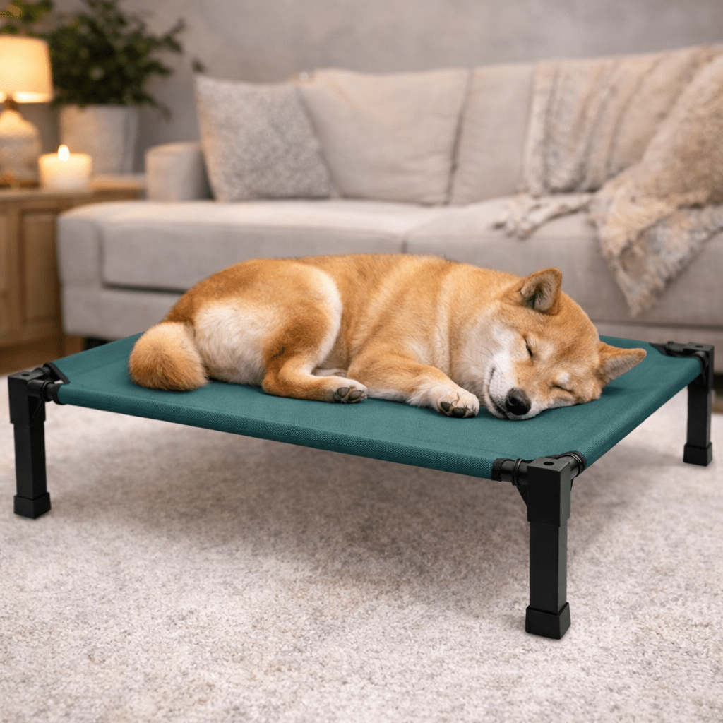 Elevated Dog Bed, Breathable Mesh Pet Cot with Steel Frame for Indoor & Outdoor Use - Homvista