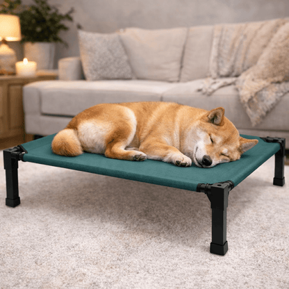 Elevated Dog Bed, Breathable Mesh Pet Cot with Steel Frame for Indoor & Outdoor Use - Homvista