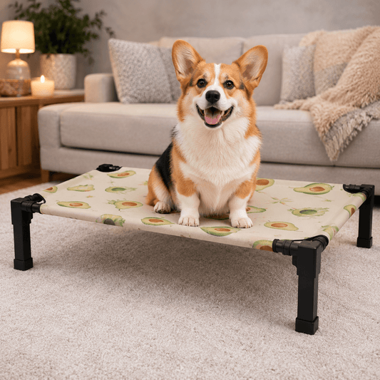Elevated Dog Bed, Breathable Mesh Pet Cot with Steel Frame for Indoor & Outdoor Use - Homvista
