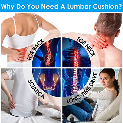 Ergonomic Lumbar Support Cushion Pillow - Homvista