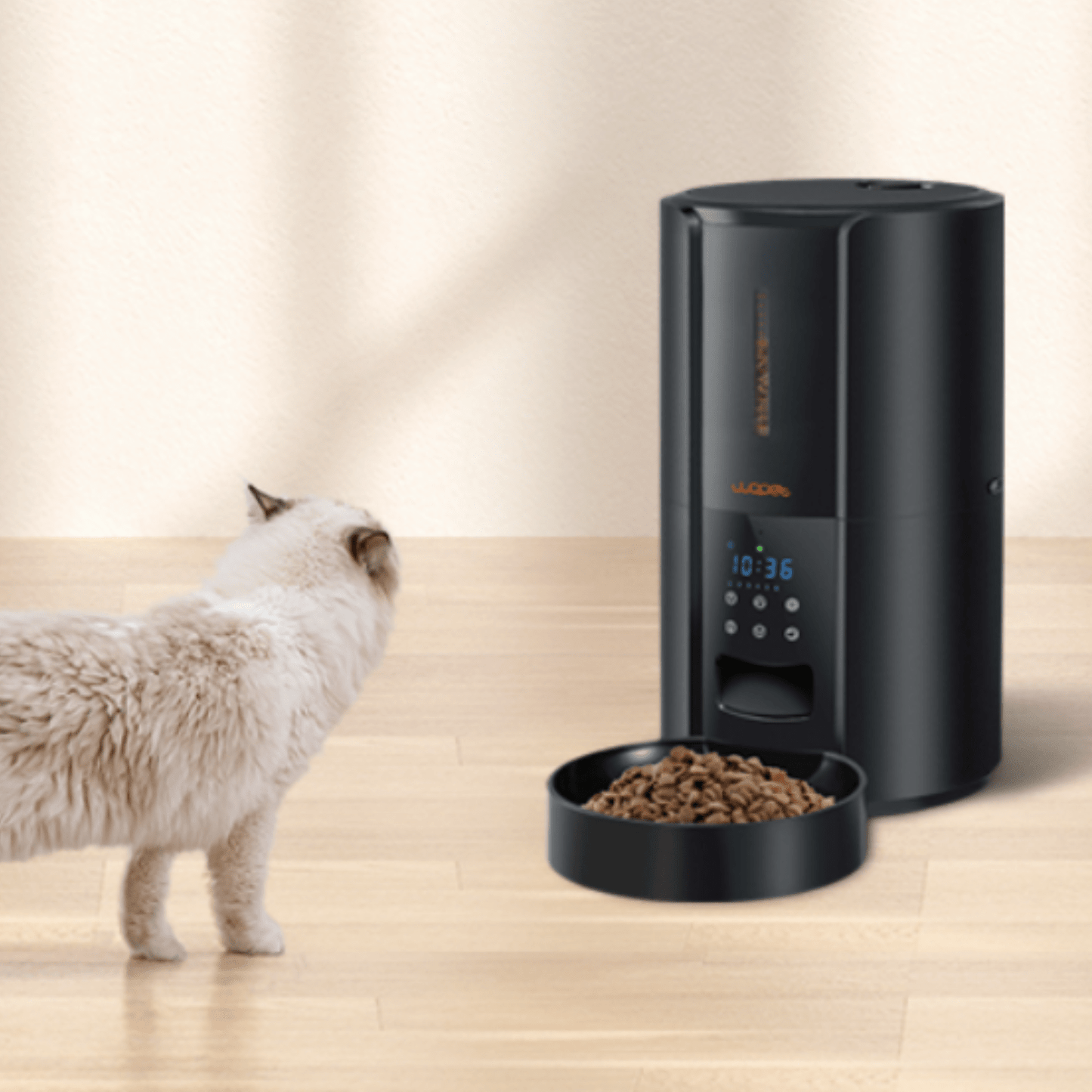 Exclusive Large Automatic Dog Cat Time Pet Food Feeder Dispenser - Homvista