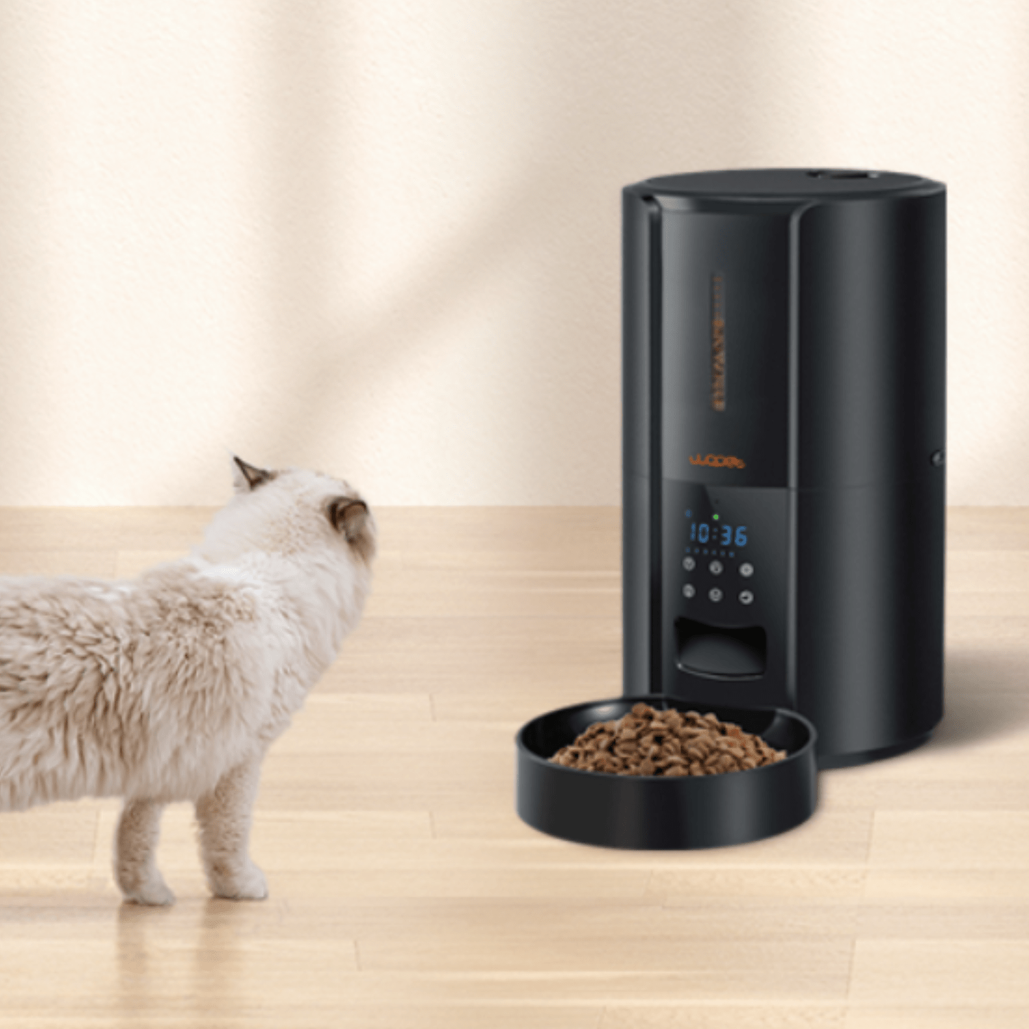 Exclusive Large Automatic Dog Cat Time Pet Food Feeder Dispenser - Homvista