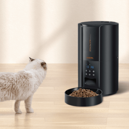 Exclusive Large Automatic Dog Cat Time Pet Food Feeder Dispenser - Homvista
