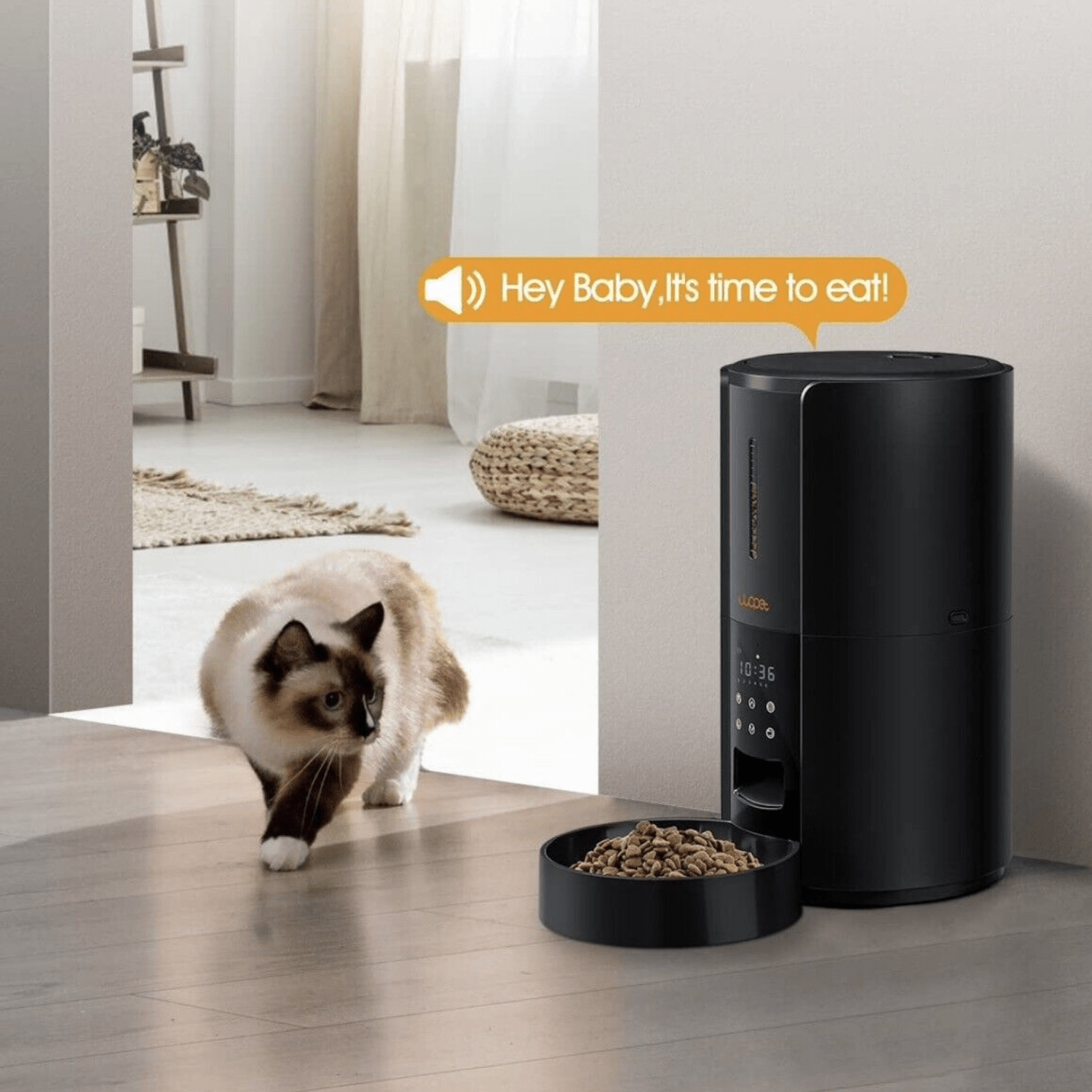 Exclusive Large Automatic Dog Cat Time Pet Food Feeder Dispenser - Homvista