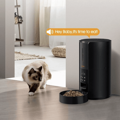 Exclusive Large Automatic Dog Cat Time Pet Food Feeder Dispenser - Homvista