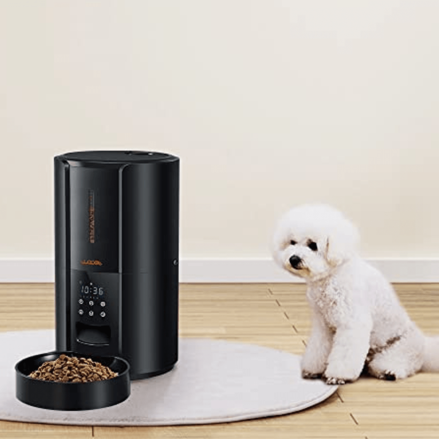 Exclusive Large Automatic Dog Cat Time Pet Food Feeder Dispenser - Homvista