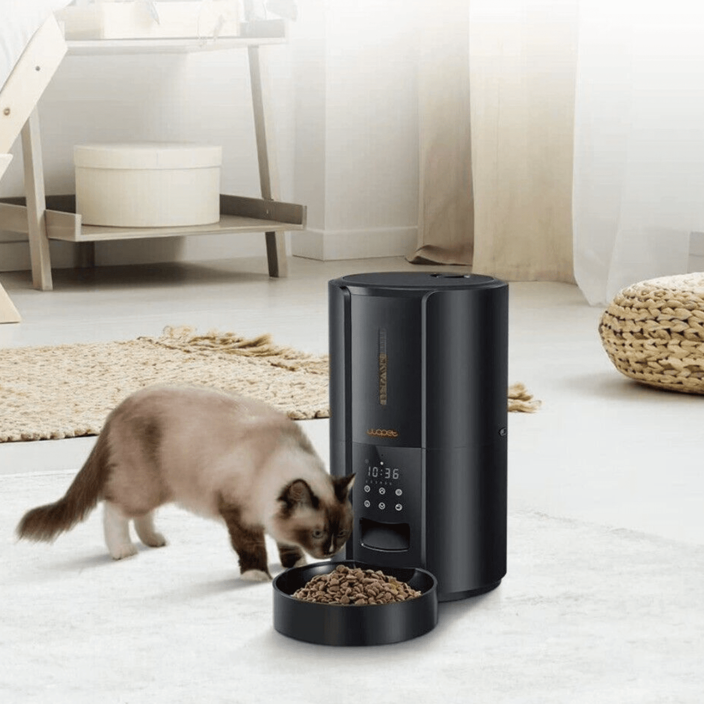 Exclusive Large Automatic Dog Cat Time Pet Food Feeder Dispenser - Homvista
