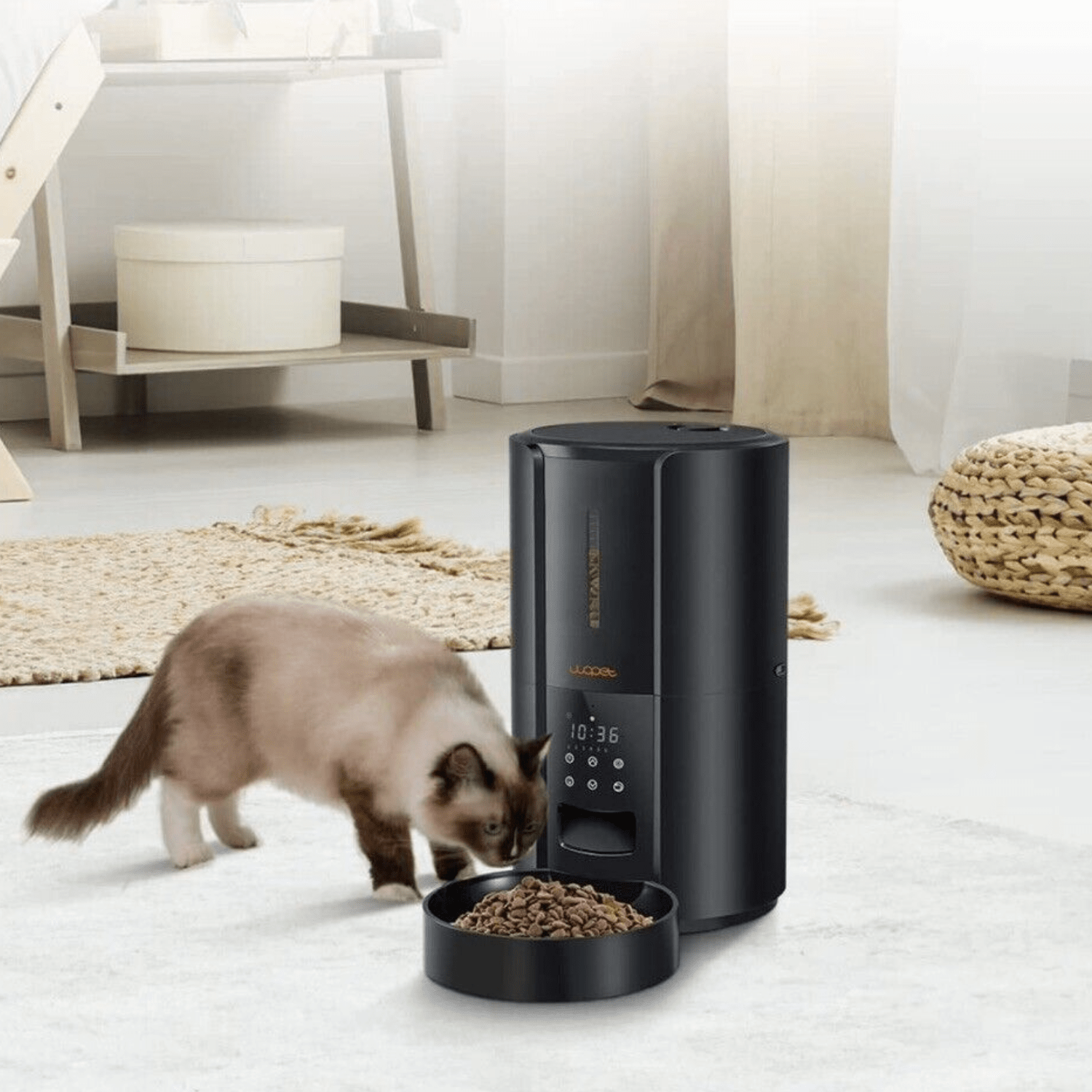 Exclusive Large Automatic Dog Cat Time Pet Food Feeder Dispenser - Homvista
