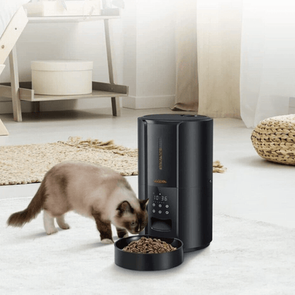 Exclusive Large Automatic Dog Cat Time Pet Food Feeder Dispenser - Homvista