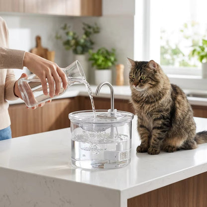 Glass Pet Water Fountain, 2L Cat & Dog Fountain with Adjustable Flow & Quiet Easy-Clean Design - Homvista