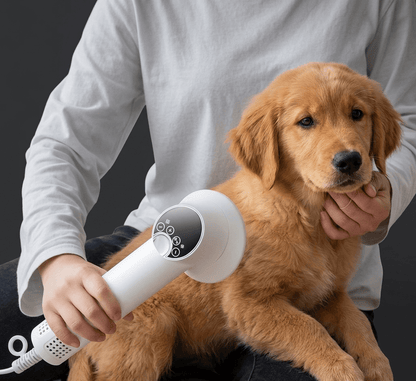 High-Velocity Dog Dryer, 40,000 RPM Pet Hair Dryer with 4 Speeds, LED Temperature & 360° Airflow - Homvista