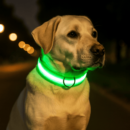 LED Dog Collar, Adjustable Light-Up Nylon Collar with Steady & Flashing Modes - Homvista