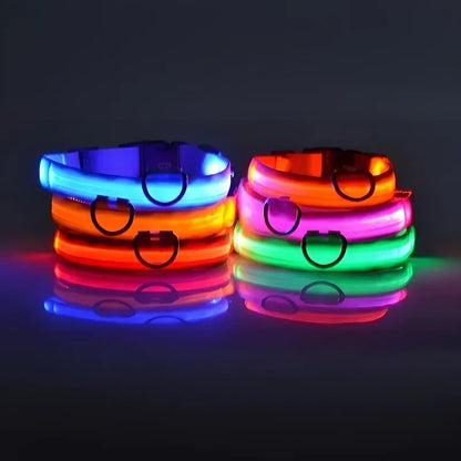 LED Dog Collar, Adjustable Light-Up Nylon Collar with Steady & Flashing Modes - Homvista