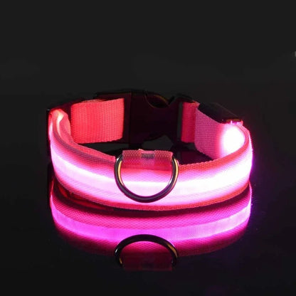 LED Dog Collar, Adjustable Light-Up Nylon Collar with Steady & Flashing Modes - Homvista