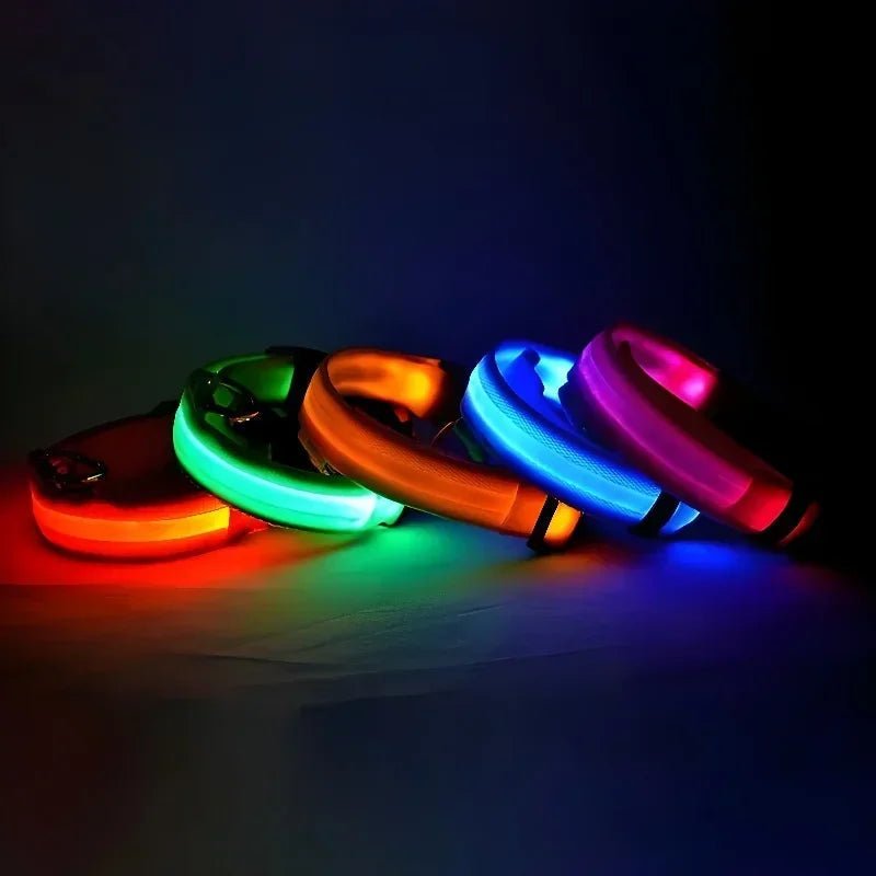 LED Dog Collar, Adjustable Light-Up Nylon Collar with Steady & Flashing Modes - Homvista