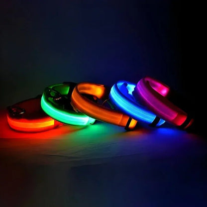 LED Dog Collar, Adjustable Light-Up Nylon Collar with Steady & Flashing Modes - Homvista