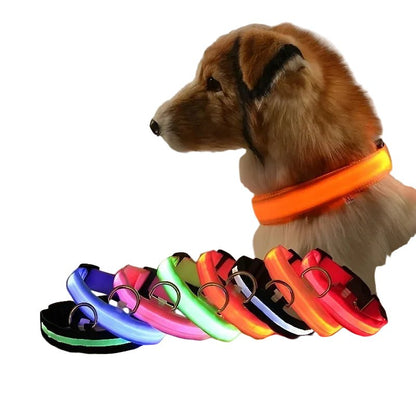 LED Dog Collar, Adjustable Light-Up Nylon Collar with Steady & Flashing Modes - Homvista