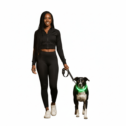 LED Dog Collar, Adjustable Light-Up Nylon Collar with Steady & Flashing Modes - Homvista
