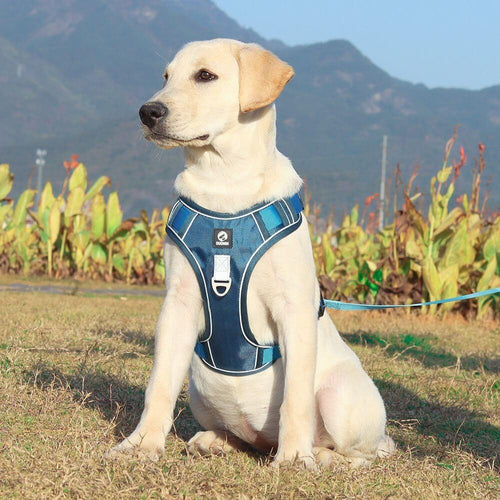 No-Pull Dog Harness, Reflective Adjustable Walking Harness with Breathable Fabric - Homvista