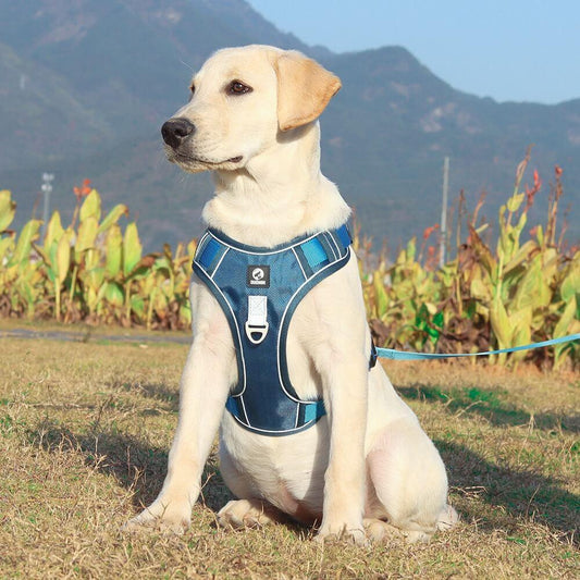 No-Pull Dog Harness, Reflective Adjustable Walking Harness with Breathable Fabric - Homvista