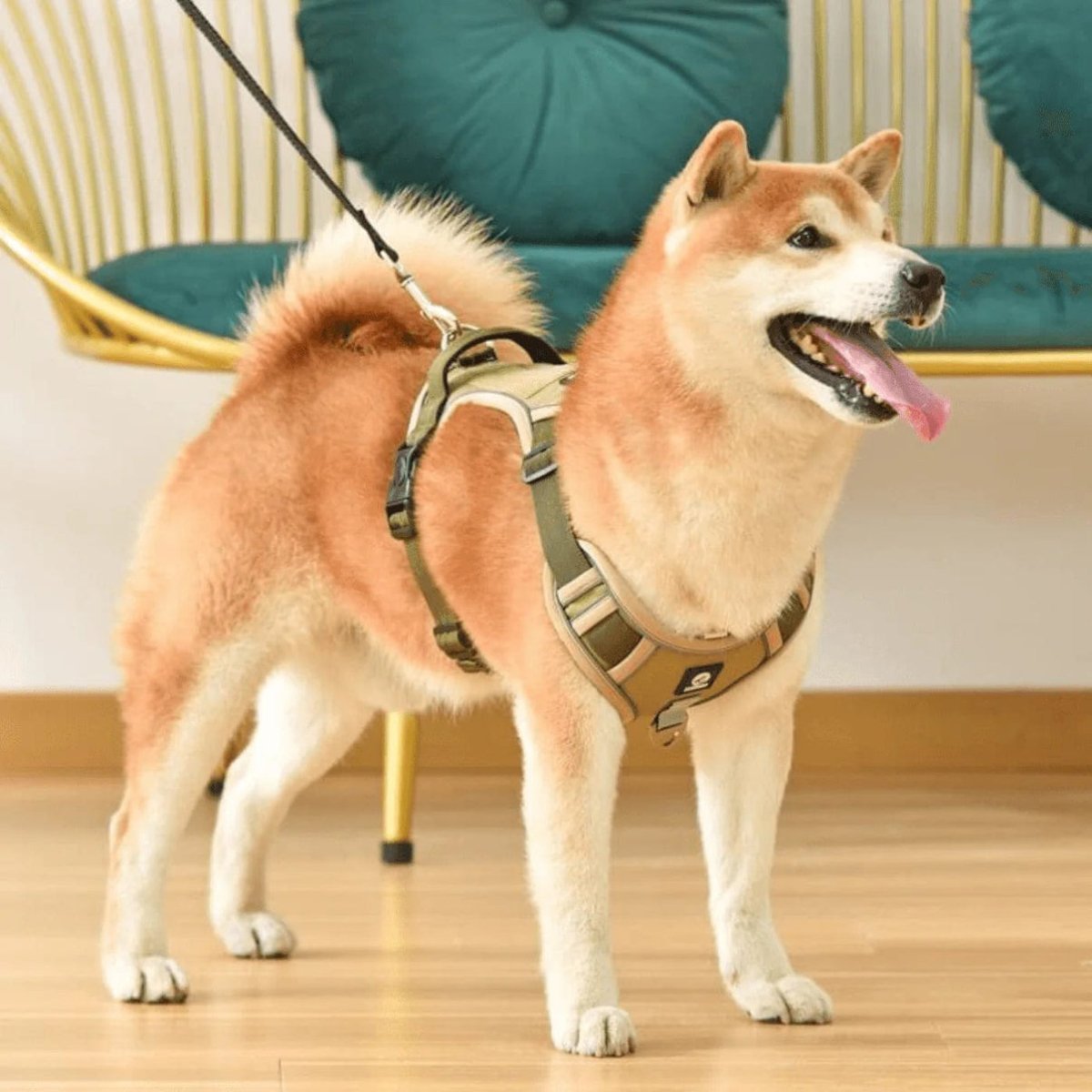 No-Pull Dog Harness, Reflective Adjustable Walking Harness with Breathable Fabric - Homvista