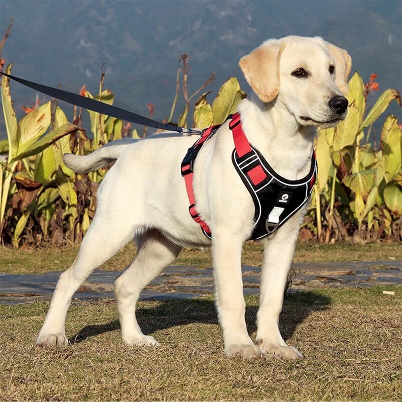 No-Pull Dog Harness, Reflective Adjustable Walking Harness with Breathable Fabric - Homvista