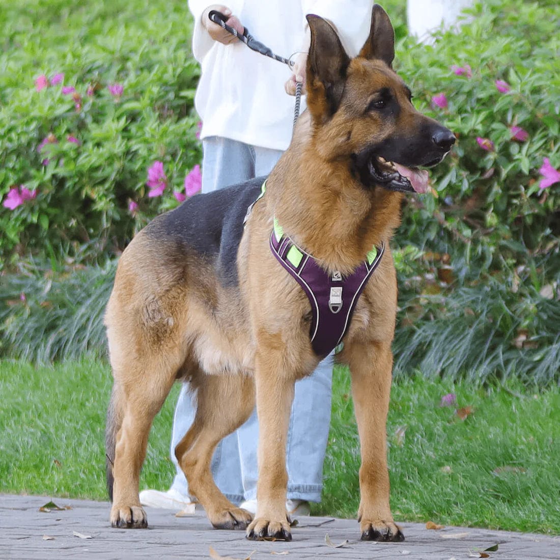 No-Pull Dog Harness, Reflective Adjustable Walking Harness with Breathable Fabric - Homvista