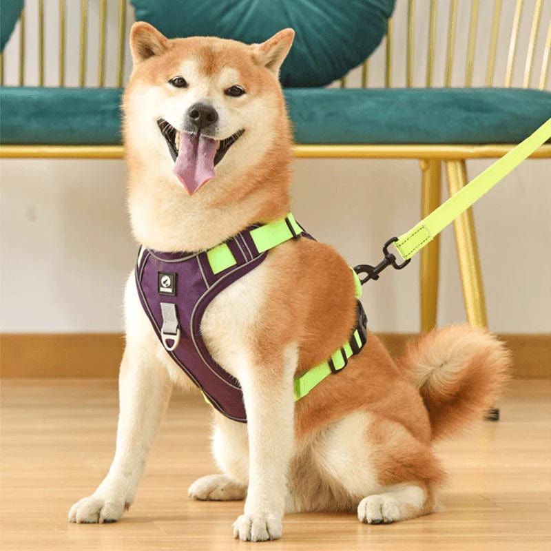 No-Pull Dog Harness, Reflective Adjustable Walking Harness with Breathable Fabric - Homvista