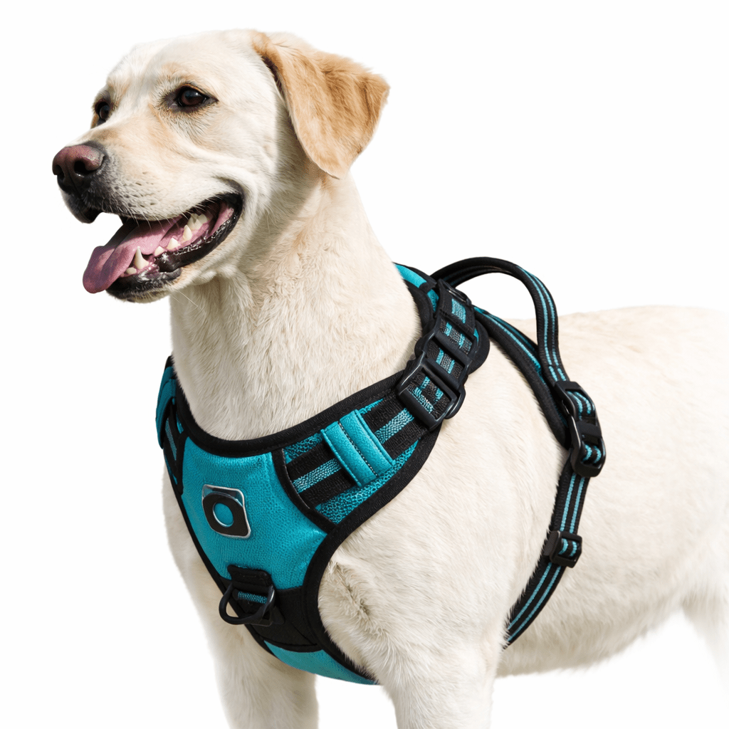 No-Pull Dog Harness with Handle, Adjustable Padded Walking & Training Harness - Homvista