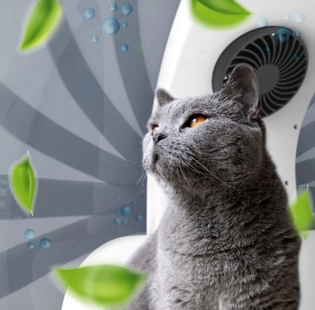 Pet Dryer Box, 8-Fan Dog & Cat Dryer with 360° Airflow, <50dB & Adjustable 68–110°F Heat - Homvista