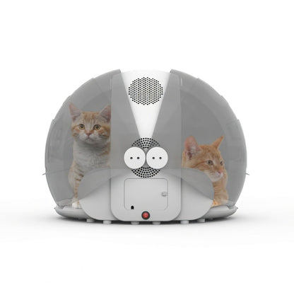 Pet Dryer Box, 8-Fan Dog & Cat Dryer with 360° Airflow, <50dB & Adjustable 68–110°F Heat - Homvista