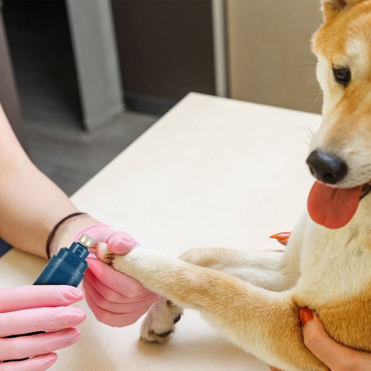 Pet Nail Grinder for Dogs & Cats, 2-Speed Rechargeable Nail Trimmer, 7000–8000 RPM - Homvista