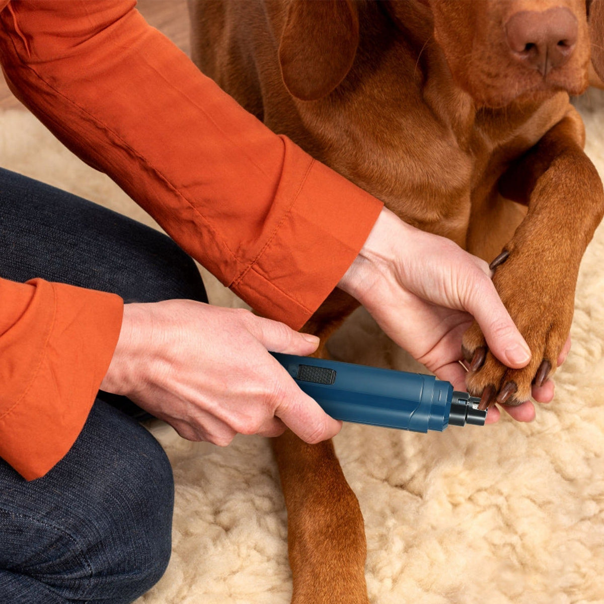 Pet Nail Grinder for Dogs & Cats, 2-Speed Rechargeable Nail Trimmer, 7000–8000 RPM - Homvista