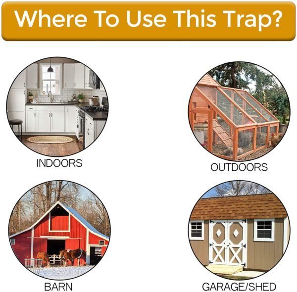 Premium Bucket Lid Mouse Trap - Homvista