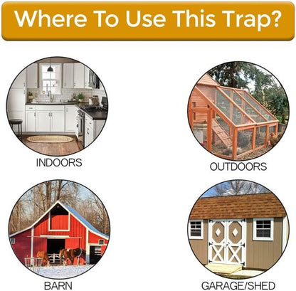 Premium Bucket Lid Mouse Trap - Homvista