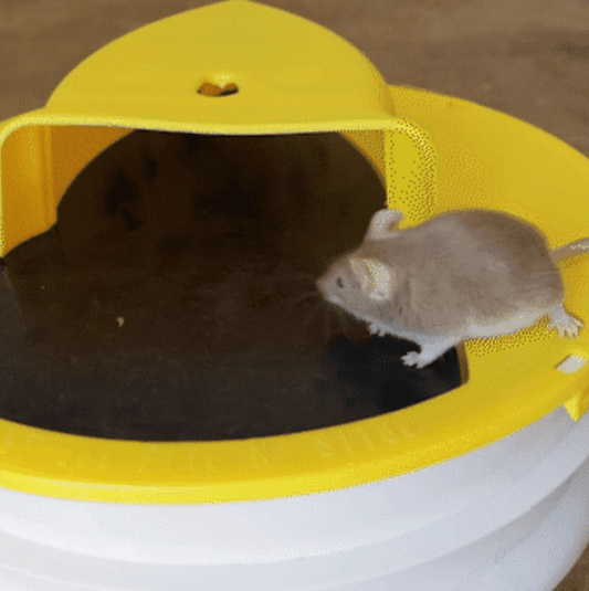 Premium Bucket Lid Mouse Trap - Homvista
