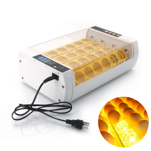 Premium Egg Incubator Automatic Chicken Quail Egg Hatcher 24 Eggs - Homvista