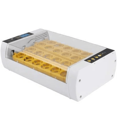 Premium Egg Incubator Automatic Chicken Quail Egg Hatcher 24 Eggs - Homvista